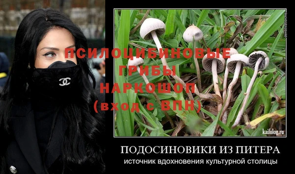 марихуана Абаза