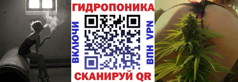 Бошки марихуана план где можно купить Новомичуринск